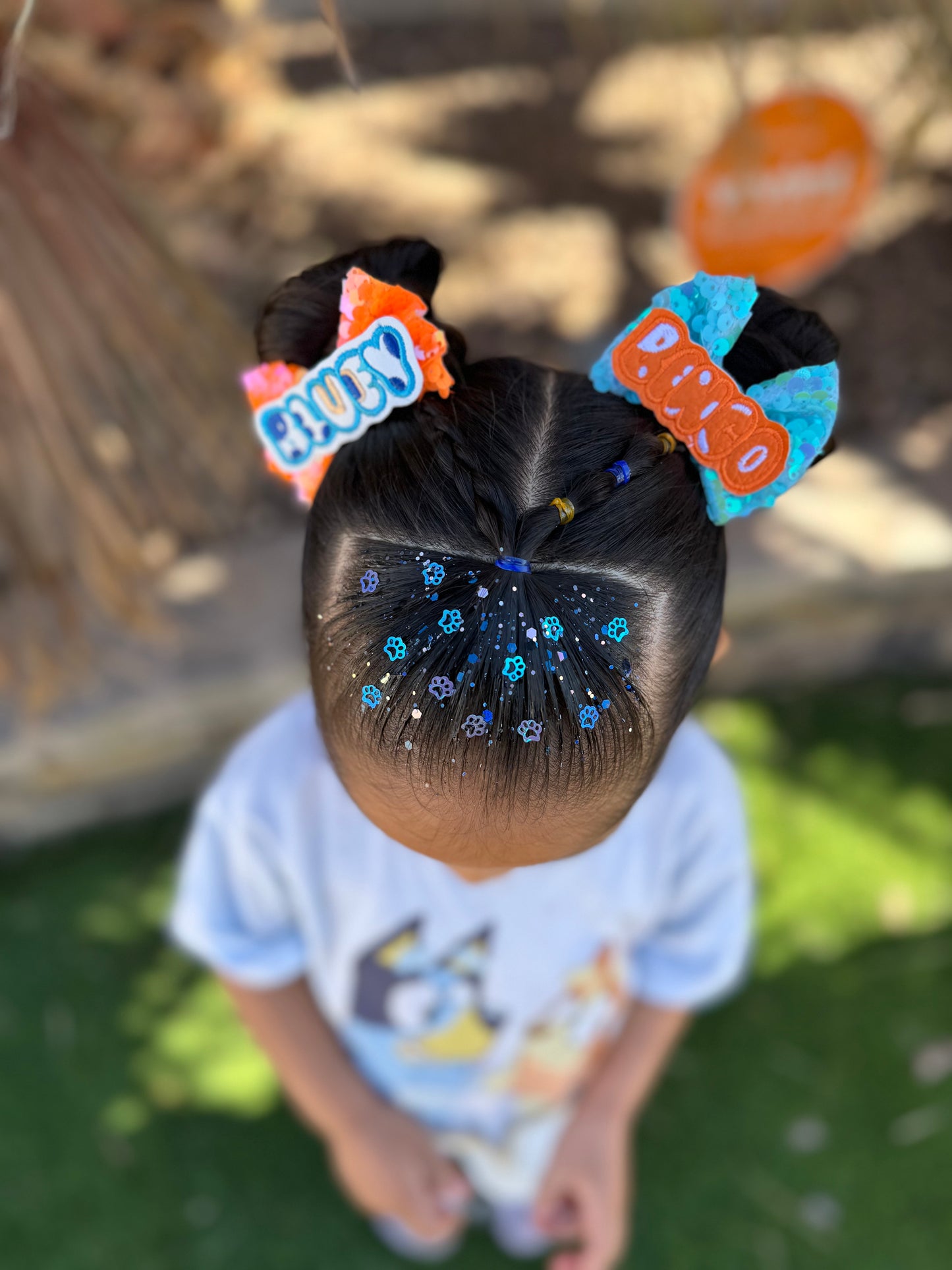 Heeler Sisters Hair Glitter