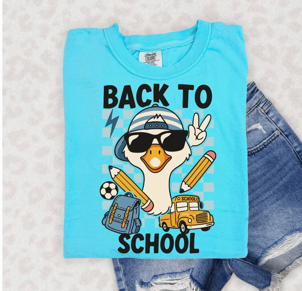 Boy School Goose