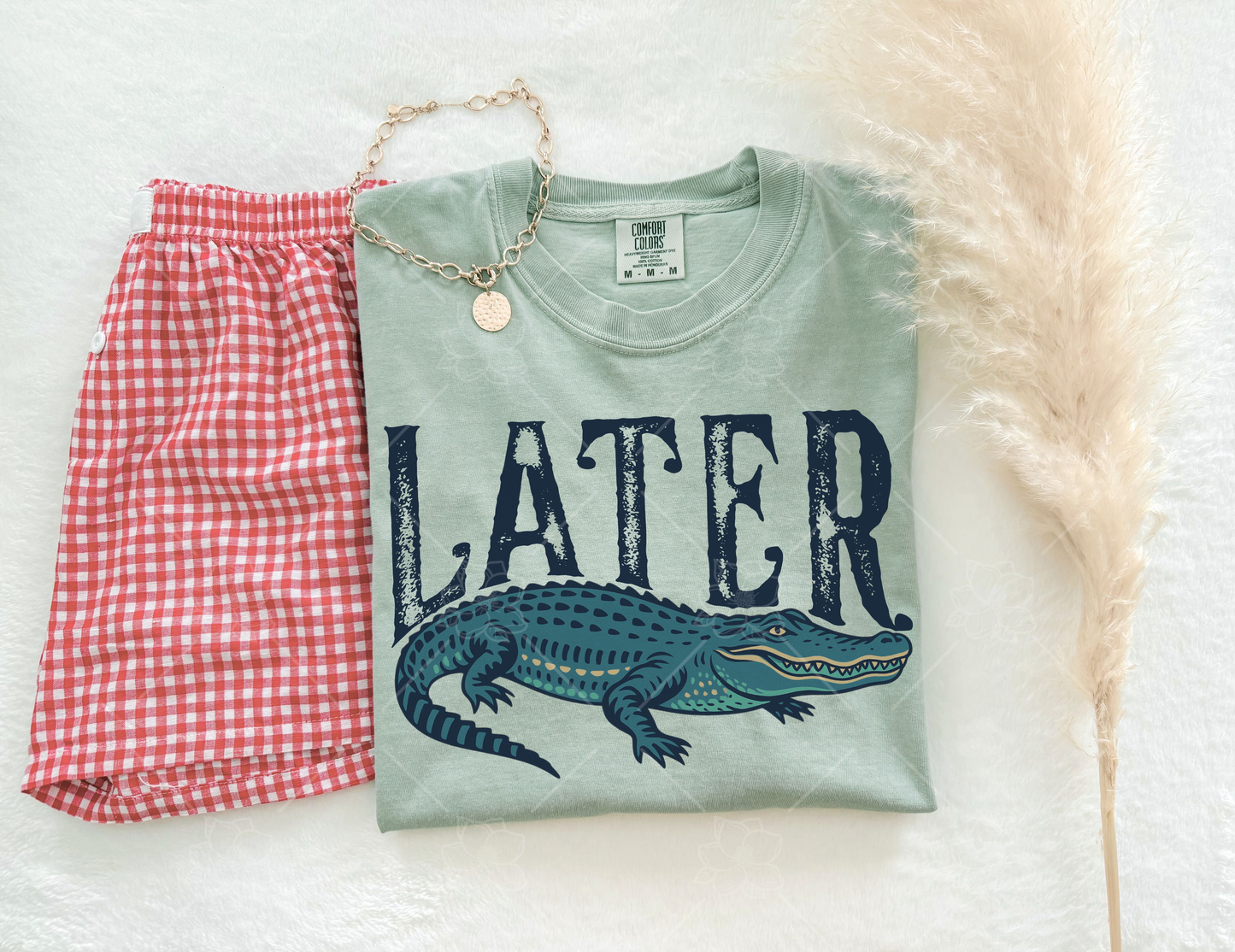 Later Aligator - Multiple Styles