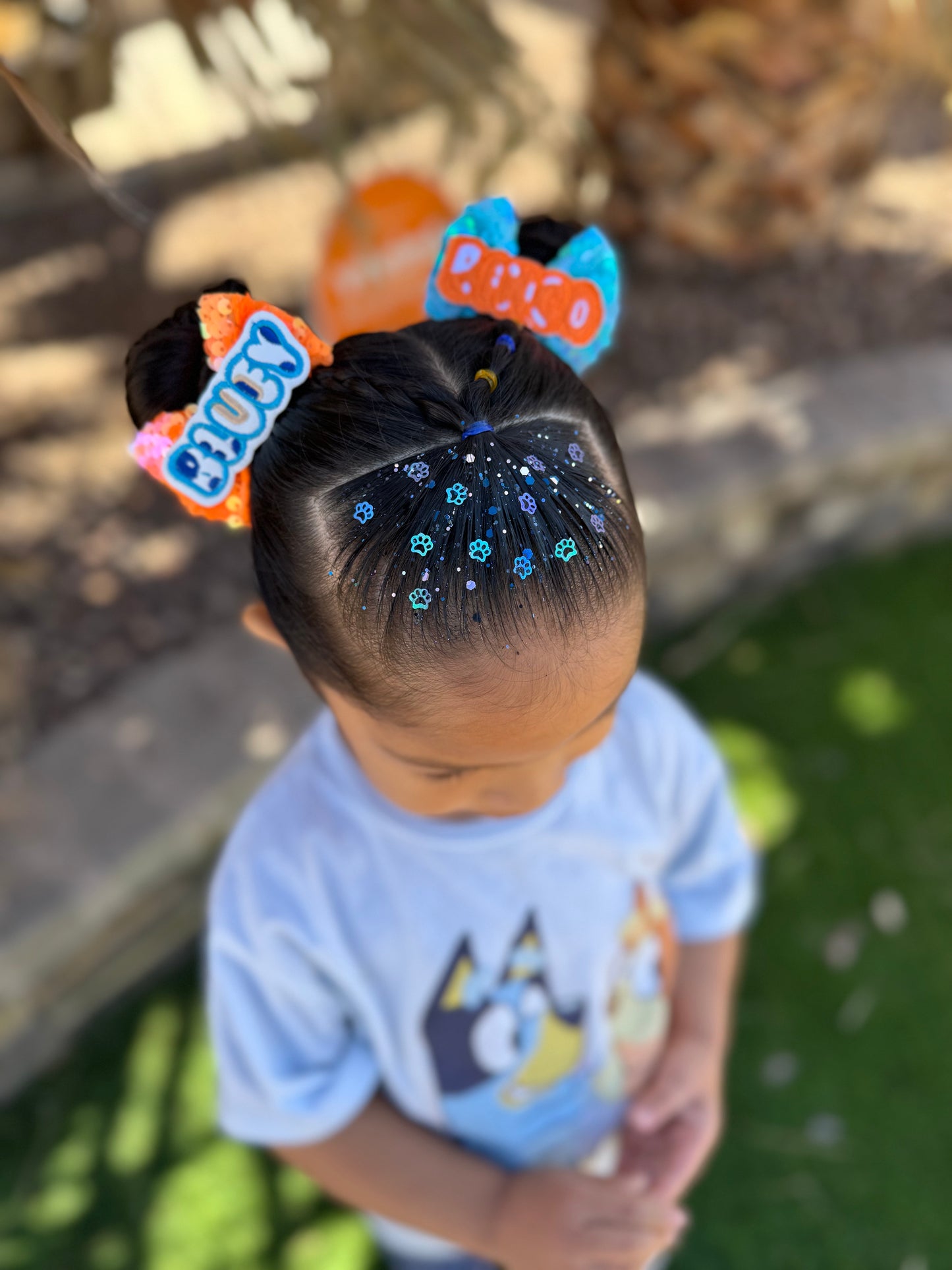 Heeler Sisters Hair Glitter