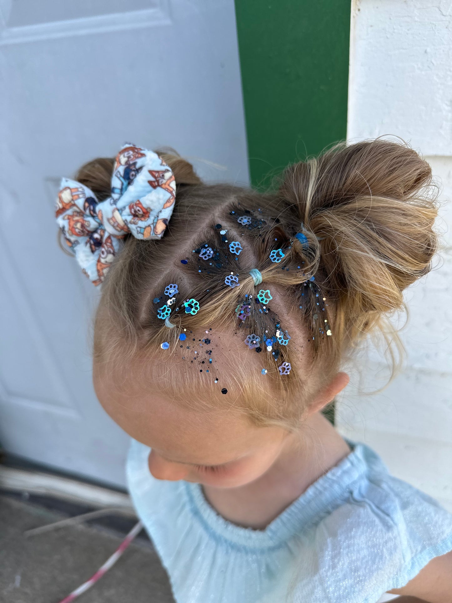 Heeler Sisters Hair Glitter