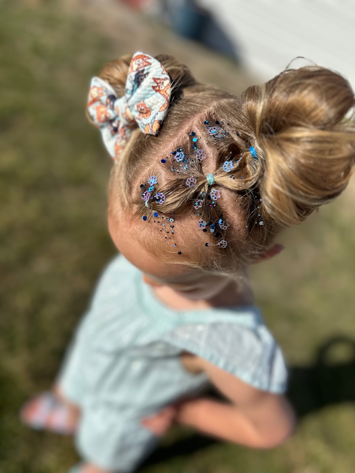Heeler Sisters Hair Glitter